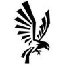 HAWK_46