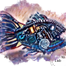 Sevax