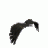 black_hawk